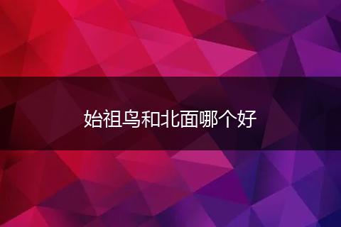 始祖鸟和北面哪个好