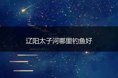 辽阳太子河哪里钓鱼好
