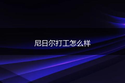 尼日尔打工怎么样
