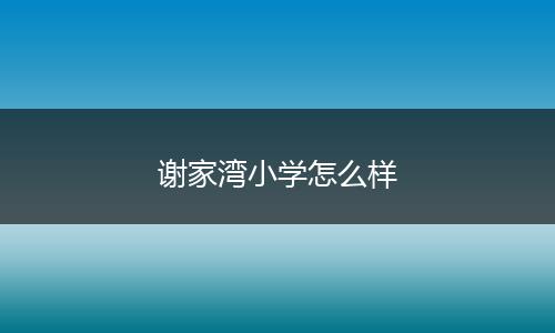 谢家湾小学怎么样