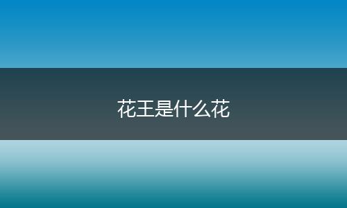 花王是什么花