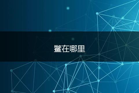鳖在哪里