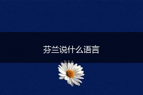 芬兰说什么语言
