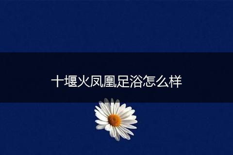 十堰火凤凰足浴怎么样