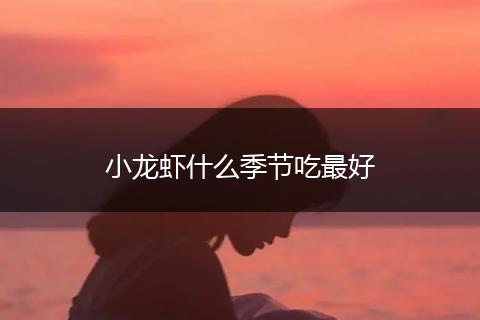 小龙虾什么季节吃最好