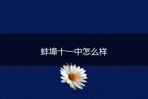 蚌埠十一中怎么样