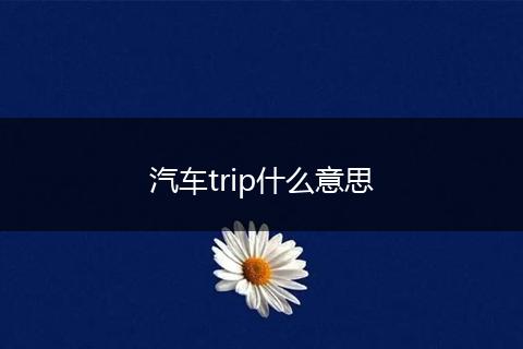 汽车trip什么意思