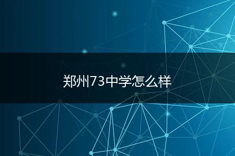 郑州73中学怎么样