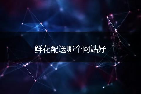 鲜花配送哪个网站好