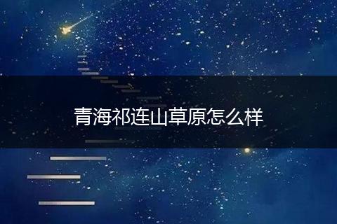 青海祁连山草原怎么样