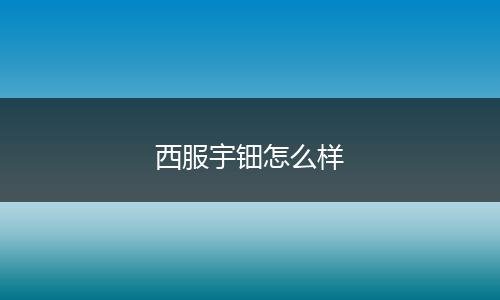 西服宇钿怎么样