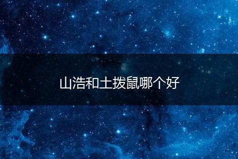 山浩和土拨鼠哪个好