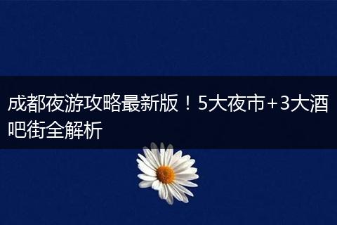 成都夜游攻略最新版！5大夜市+3大酒吧街全解析