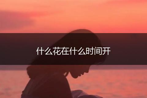 什么花在什么时间开