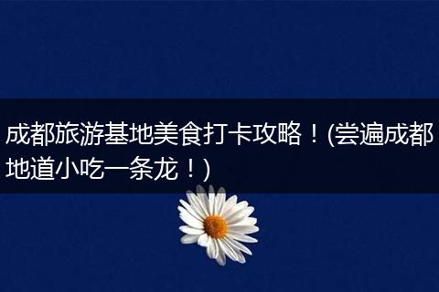 成都旅游基地美食打卡攻略！(尝遍成都地道小吃一条龙！)