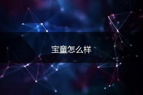 宝童怎么样