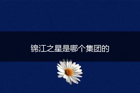 锦江之星是哪个集团的