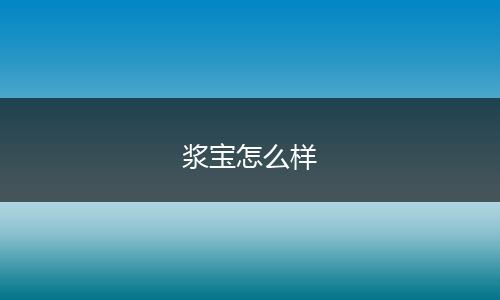 浆宝怎么样