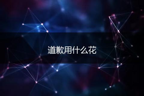 道歉用什么花