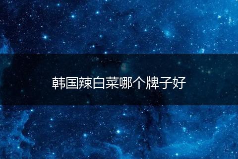 韩国辣白菜哪个牌子好