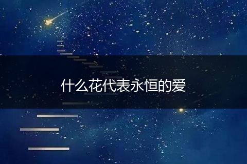 什么花代表永恒的爱