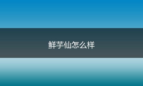 鲜芋仙怎么样
