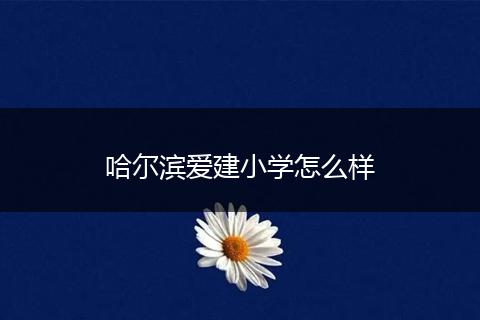 哈尔滨爱建小学怎么样