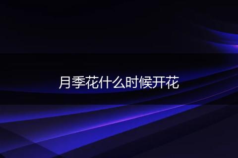 月季花什么时候开花