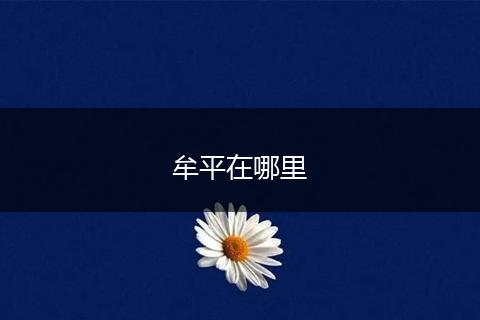 牟平在哪里