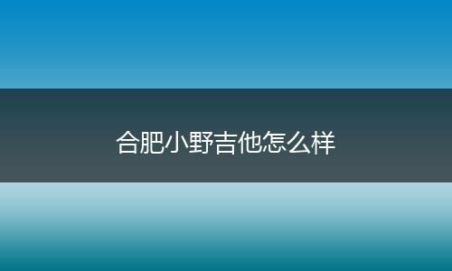 合肥小野吉他怎么样