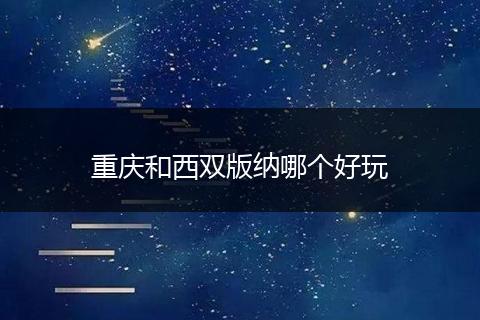 重庆和西双版纳哪个好玩