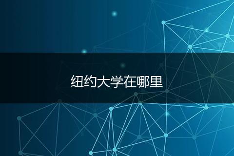 纽约大学在哪里