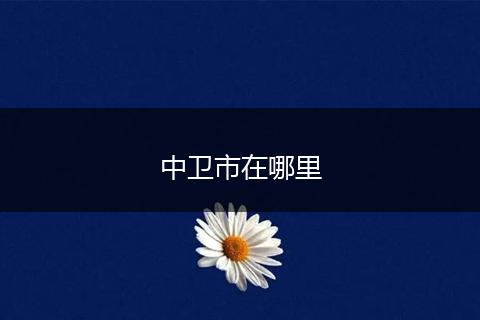中卫市在哪里