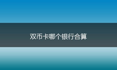 双币卡哪个银行合算