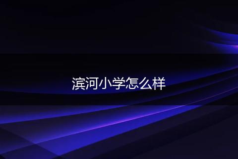 滨河小学怎么样