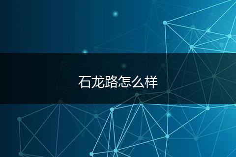 石龙路怎么样