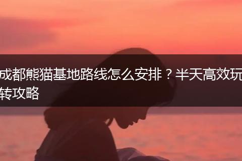 成都熊猫基地路线怎么安排？半天高效玩转攻略