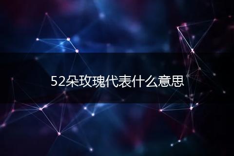 52朵玫瑰代表什么意思