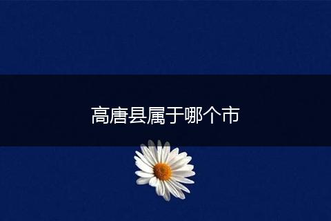 高唐县属于哪个市