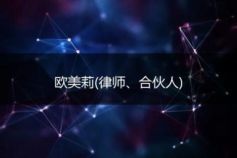 欧美莉(律师、合伙人)