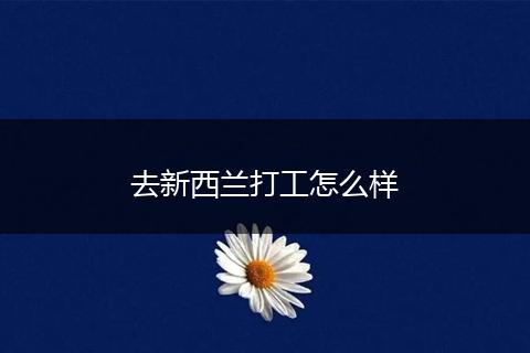 去新西兰打工怎么样