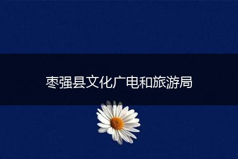枣强县文化广电和旅游局