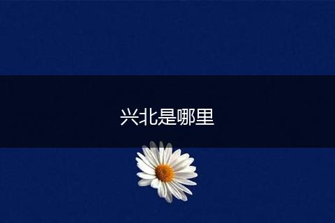 兴北是哪里