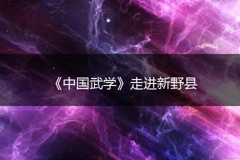 《中国武学》走进新野县