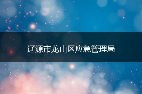 辽源市龙山区应急管理局