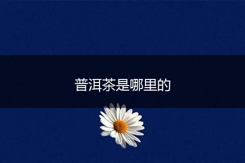 普洱茶是哪里的