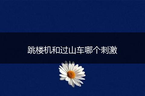 跳楼机和过山车哪个刺激