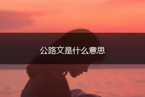 公路文是什么意思