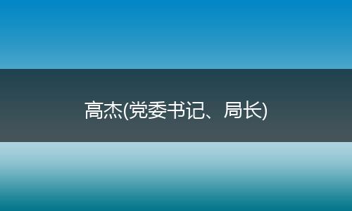 高杰(党委书记、局长)
