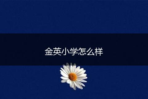金英小学怎么样